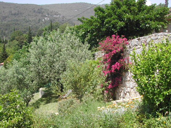 Jardin-2