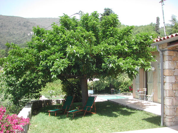 terrasse-pool